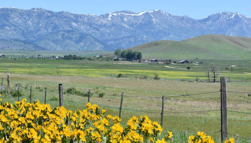 Elmore County, ID